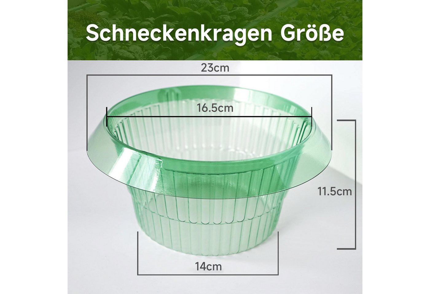 OSTWOLKE Schneckenkante 20 Stück Schneckenkragen Schneckenschutzring Schneckenschutz Bild 3