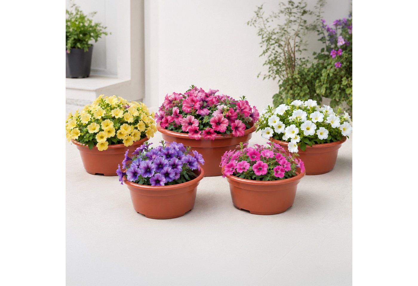 Garronda Blumentopf rund Pflanzschale Kunststoff mit Drainage für Wurzelpflanzen GD-0207A (1 St) Bild 3