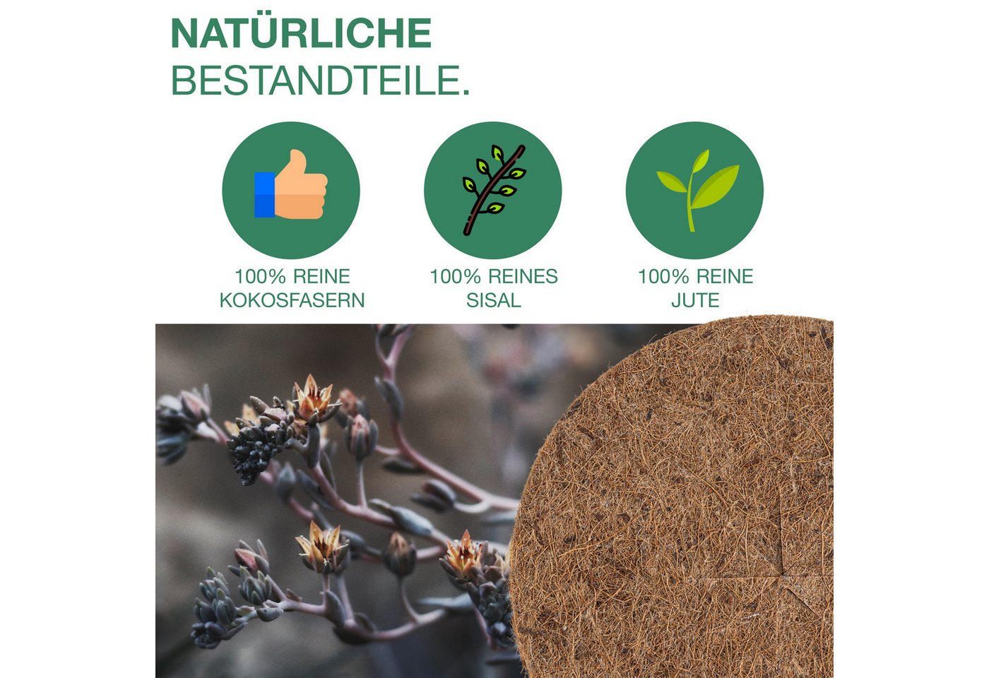 Nugati Kokosscheibe NUGATI Kokos-Mulchscheibe Kübelabdeckung Winterschutz Kokosdisk, (3-St) Bild 2