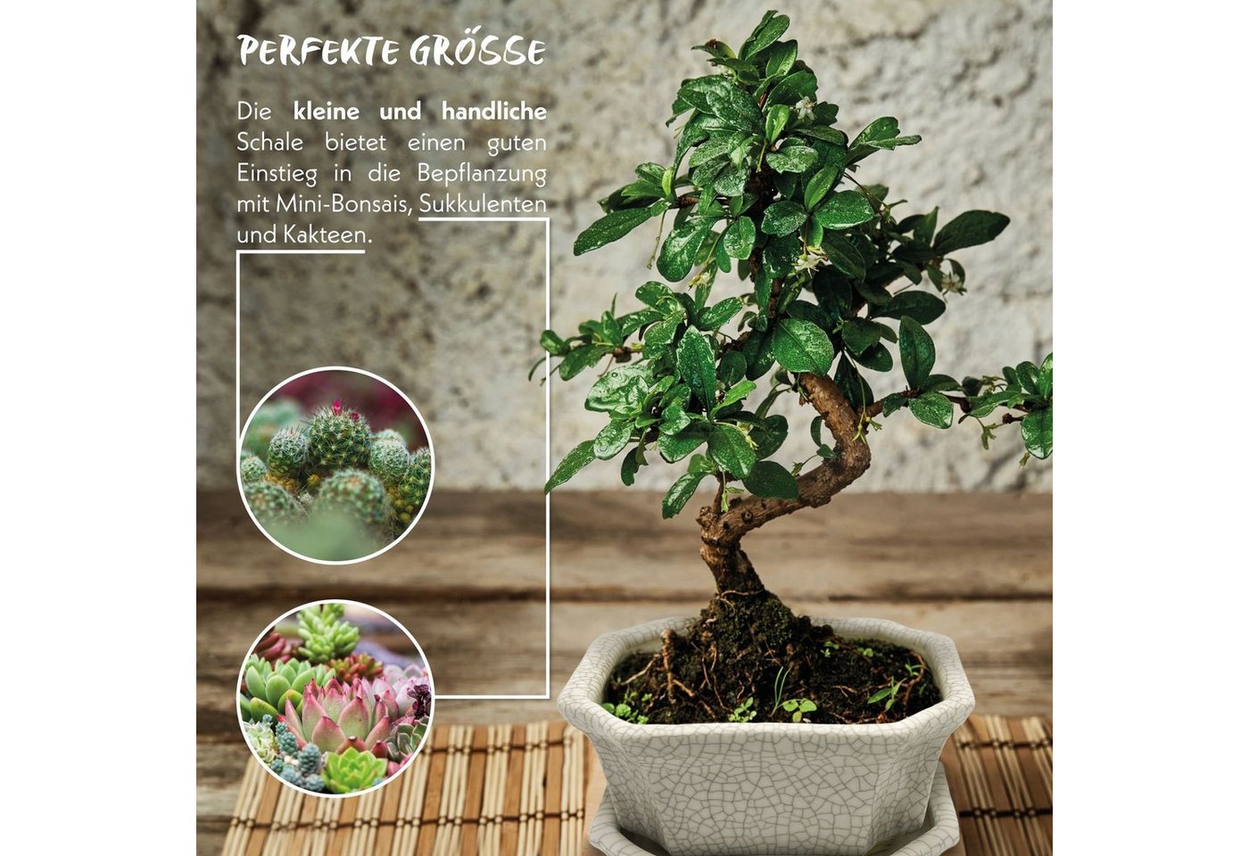 HappySeed Pflanzschale Bonsai Schale aus Keramik mit Untersetzer in Grau - 11 x 6,5 x 9 cm Bild 4