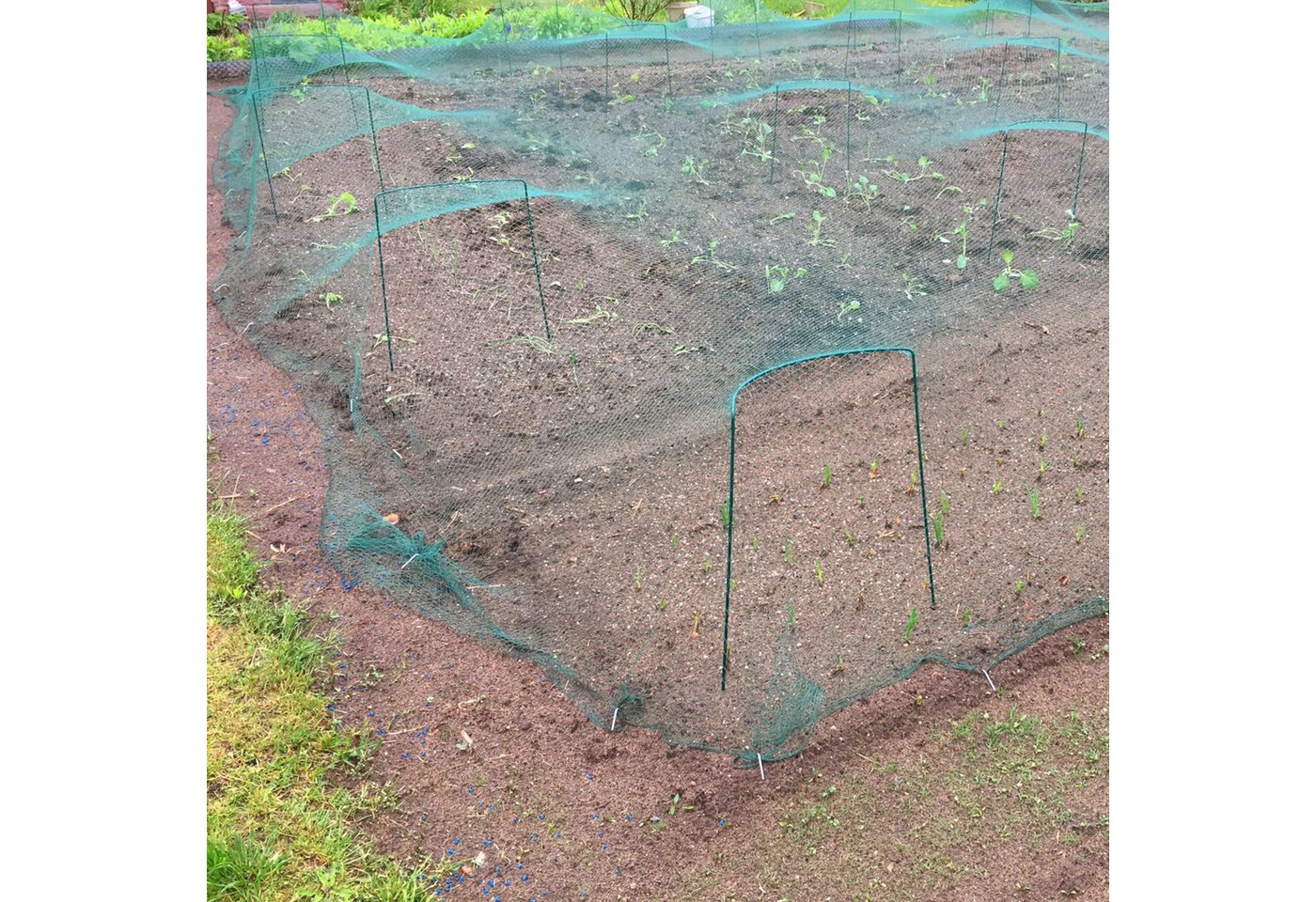 com-four Rankhilfe, 6 St., Pflanzenhalter als Blumenstütze - runder Staudenring für Garten