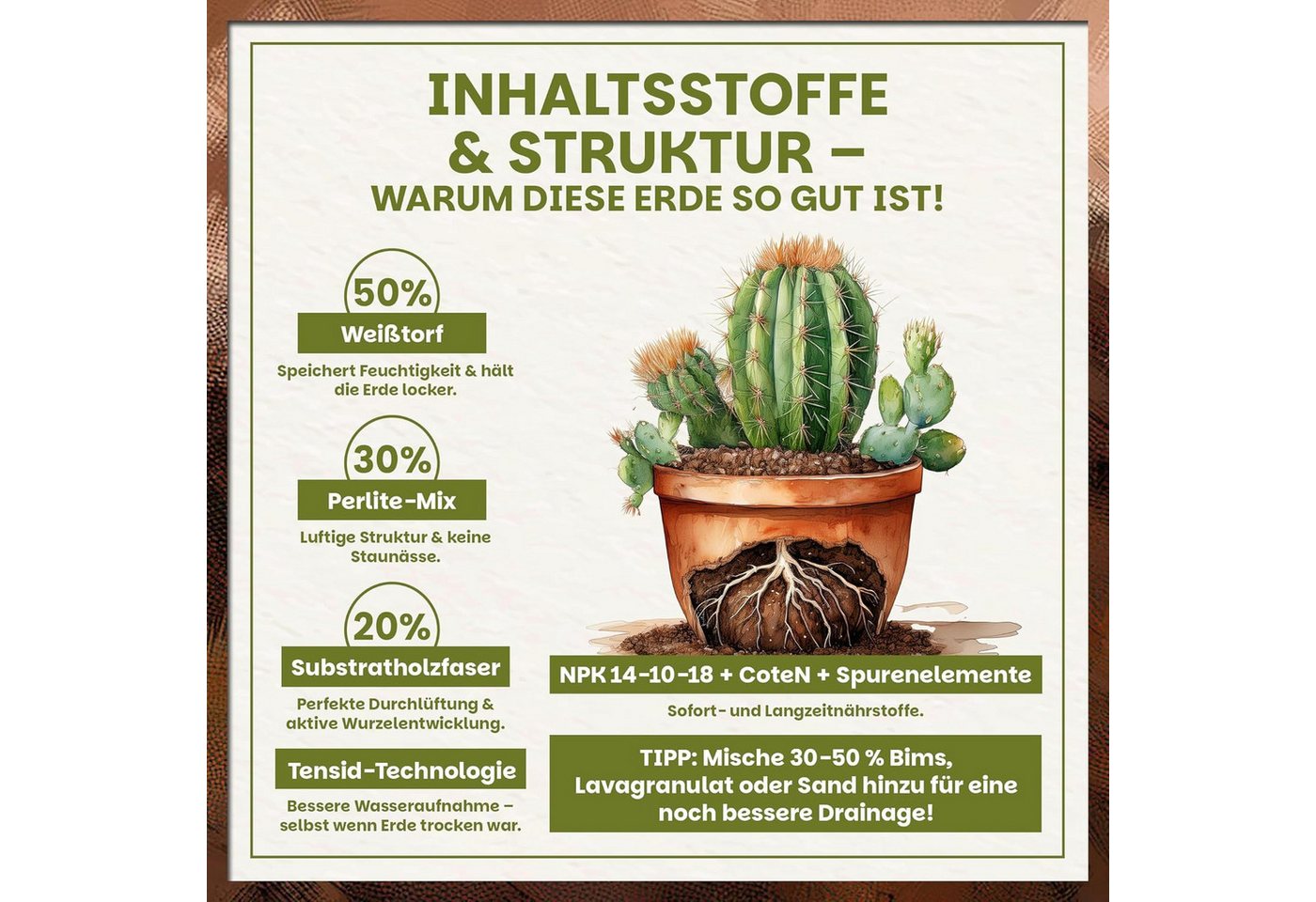 GREEN HOME LOVE NATURE Spezialerde Kakteen & Sukkulenten Erde mit Perlit, langzeitgedüngt, pH 5,8 18 L, 36 L, 72 L, Langzeitdünger, Perlit, Kokosfasern, pH 5,8, gute Drainage