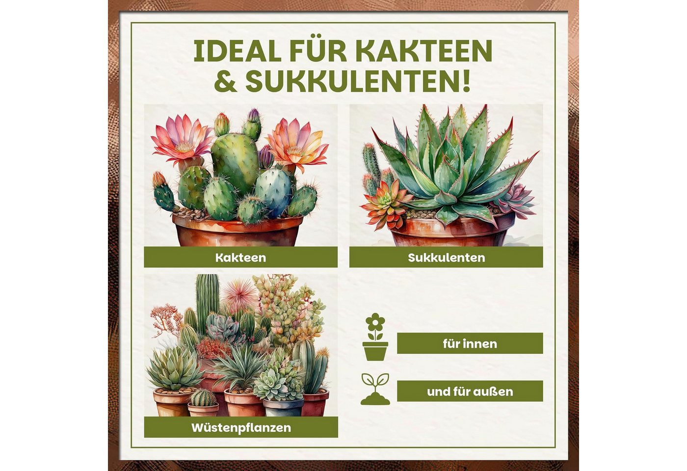 GREEN HOME LOVE NATURE Spezialerde Kakteen & Sukkulenten Erde mit Perlit, langzeitgedüngt, pH 5,8 18 L, 36 L, 72 L, Langzeitdünger, Perlit, Kokosfasern, pH 5,8, gute Drainage Bild 2