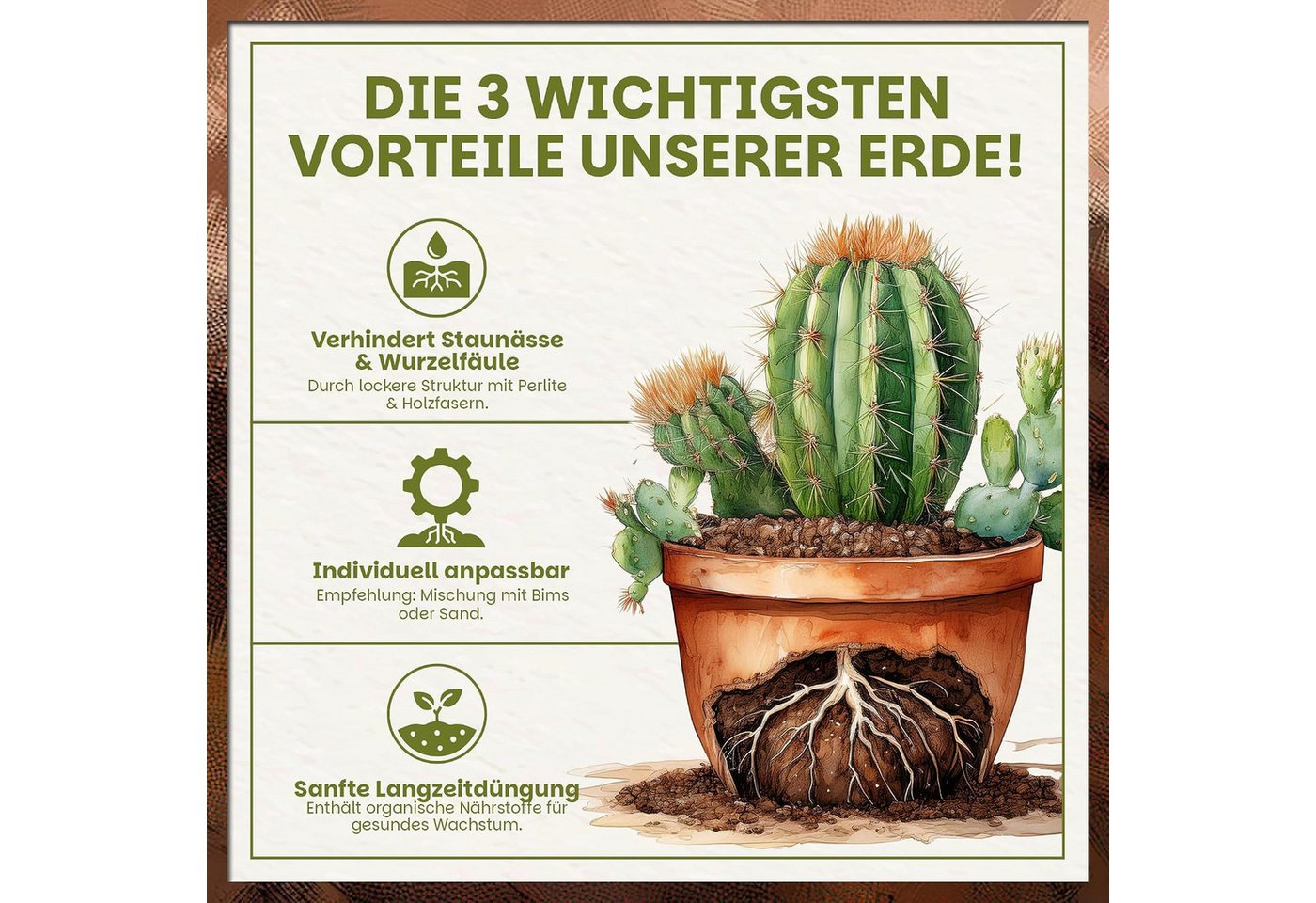 GREEN HOME LOVE NATURE Spezialerde Kakteen & Sukkulenten Erde mit Perlit, langzeitgedüngt, pH 5,8 18 L, 36 L, 72 L, Langzeitdünger, Perlit, Kokosfasern, pH 5,8, gute Drainage Bild 4