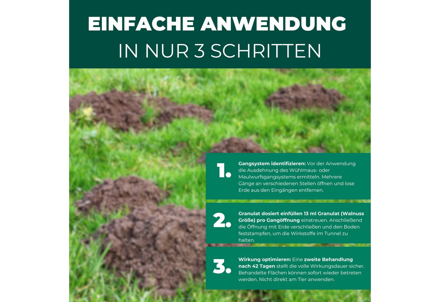Silberkraft Vergrämungsmittel Silberkraft Wühlmaus- und Maulwurf-Vertreiber Granulat, Wühlmausabwehr, 200 g, Made in Deutschland Gezielte Duftstoffwirkung ohne Rodentizide, Effektive Wühlmausabwehr durch spezielle Duftstoffe Einfache Anwendung, für Garten, Beete & Rasen, Alternative zu Wühlmausschreck & Gift