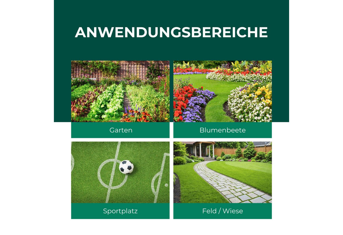 Silberkraft Vergrämungsmittel Silberkraft Wühlmaus- und Maulwurf-Vertreiber Granulat, Wühlmausabwehr, 200 g, Made in Deutschland Gezielte Duftstoffwirkung ohne Rodentizide, Effektive Wühlmausabwehr durch spezielle Duftstoffe Einfache Anwendung, für Garten, Beete & Rasen, Alternative zu Wühlmausschreck & Gift Bild 2