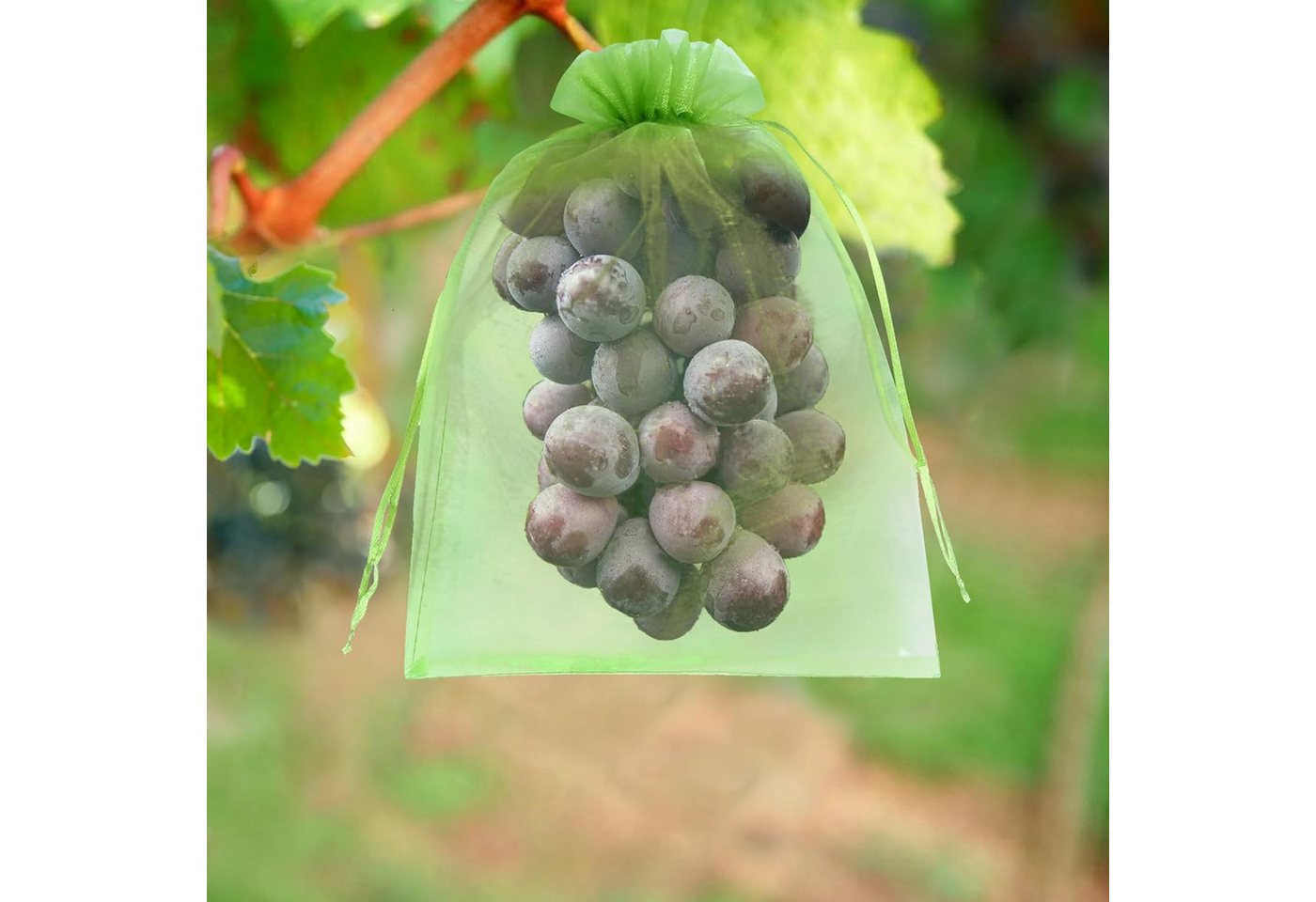 FELIXLEO Pflanzenschutzdach 50er Traubenschutzbeutel Grün 20x30cm, Organza Obstnetze mit Zugband Bild 4