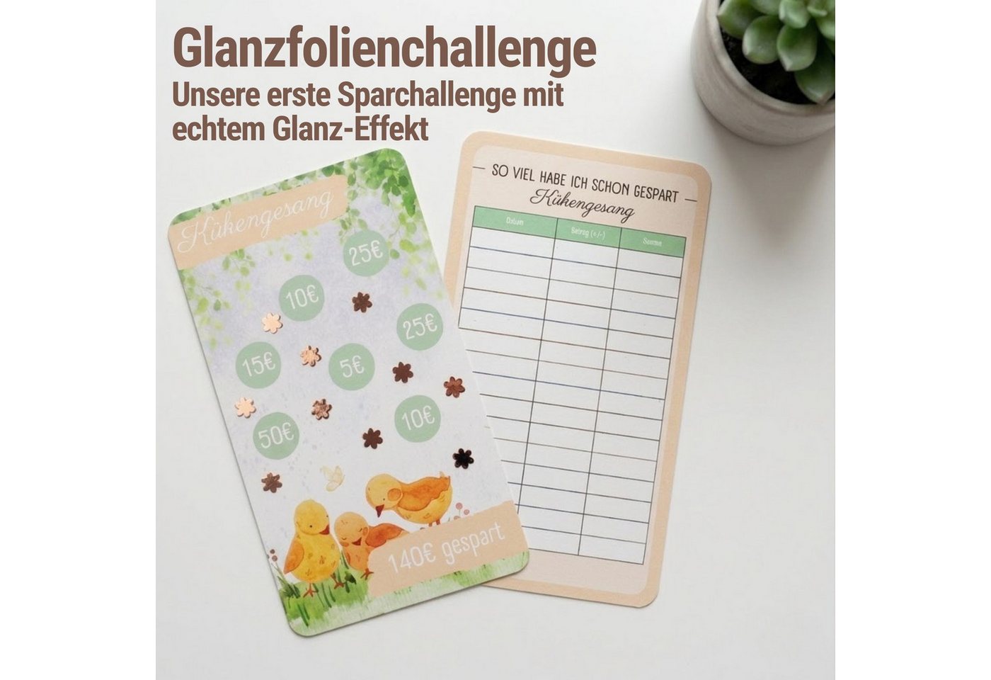 BeginnerBudget Konferenzmappe Jahreszeiten Spar-Challenge Set