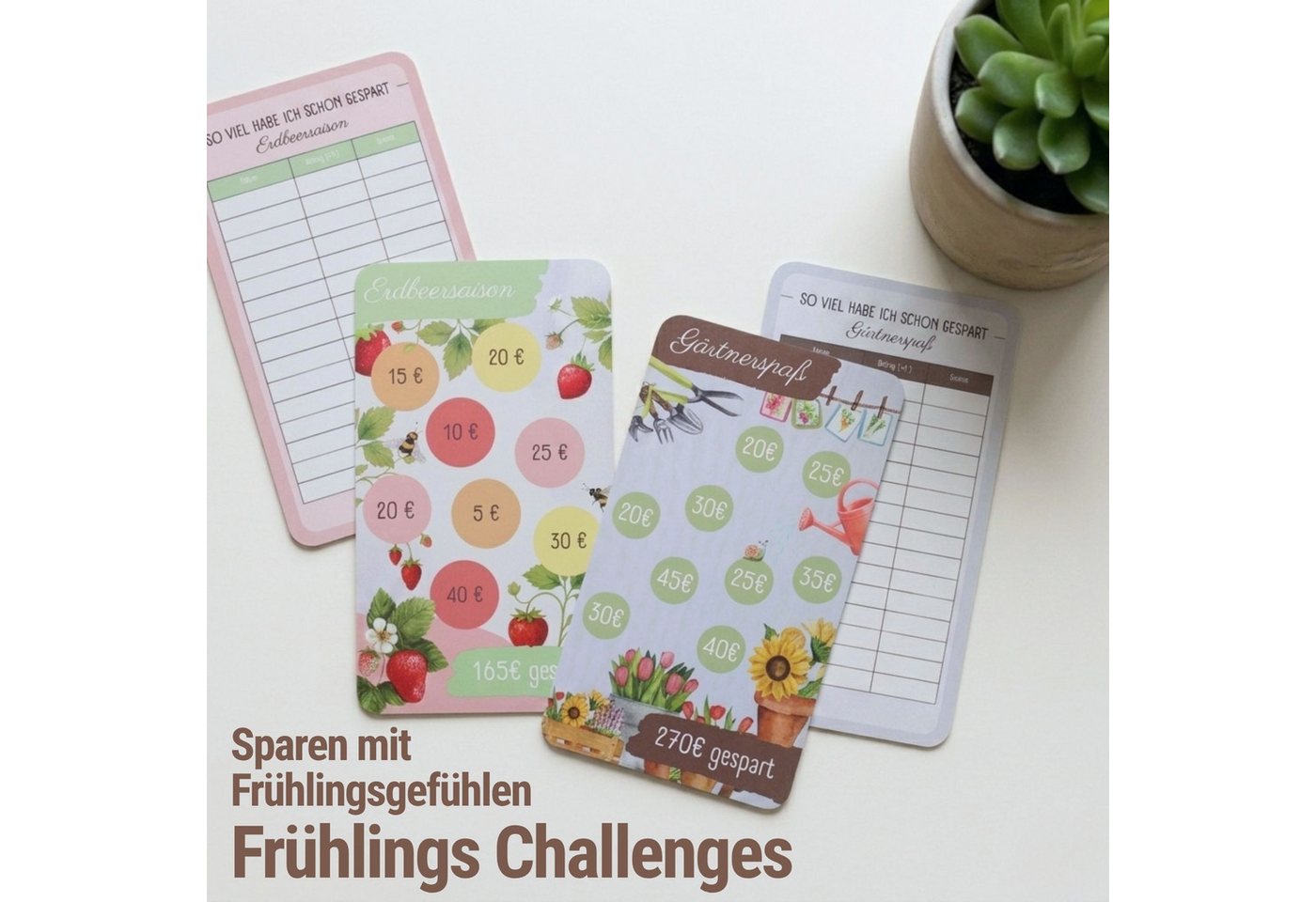 BeginnerBudget Konferenzmappe Jahreszeiten Spar-Challenge Set Bild 2