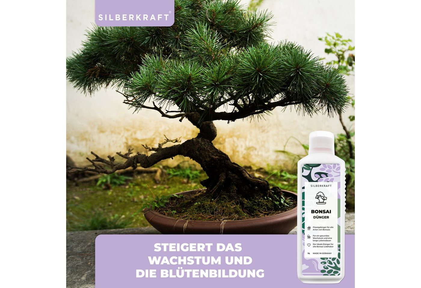 Silberkraft Pflanzendünger Bonsai Dünger für alle Arten von Bonsais, 1-St., Mineralischer NPK Flüssigdünger mit Stickstoff, Dünger für Bonsai Bild 3