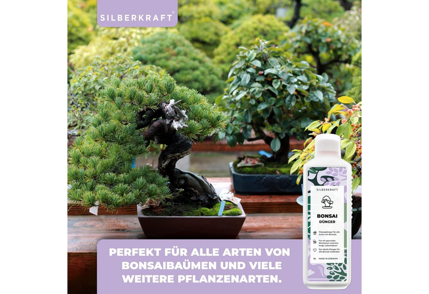 Silberkraft Pflanzendünger Bonsai Dünger für alle Arten von Bonsais, 1-St., Mineralischer NPK Flüssigdünger mit Stickstoff, Dünger für Bonsai Bild 4