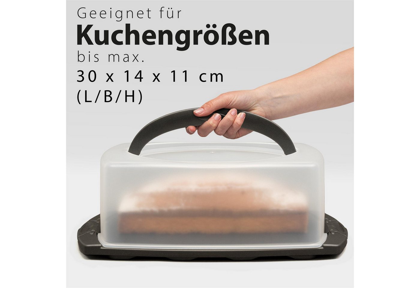 Hausfelder Kuchentransportbox Kuchentransportbox rechteckig (Kastenkuchen), (Set, 1-tlg., 1 Box), mit Klick-Verschlüssen, spülmaschinenfest, BPA-frei Bild 4