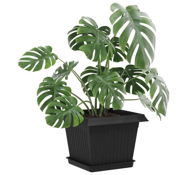 vidaXL Blumentopf Quadratisches Blumentablett 6 stk. Schwarz 18 x 18 x 2 cm (6 St)