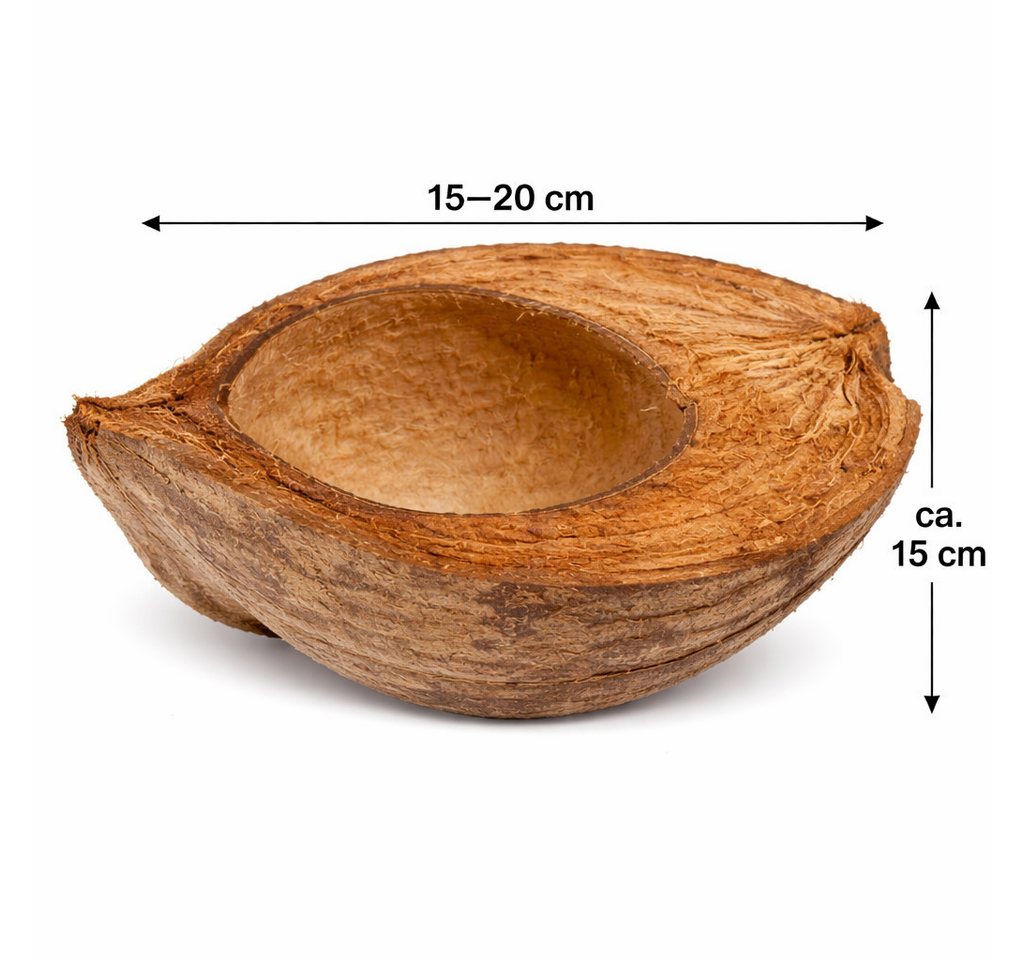 NaDeco Bastelnaturmaterial Kokosnuss halbiert im Längsschnitt ca.15-20cm Kokosschale Bild 4