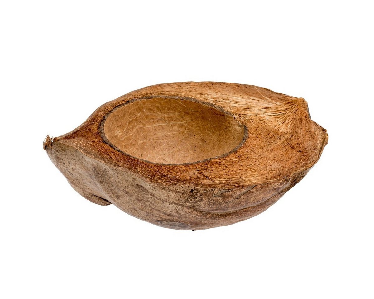 NaDeco Bastelnaturmaterial Kokosnuss halbiert im Längsschnitt ca.15-20cm Kokosschale Bild 5