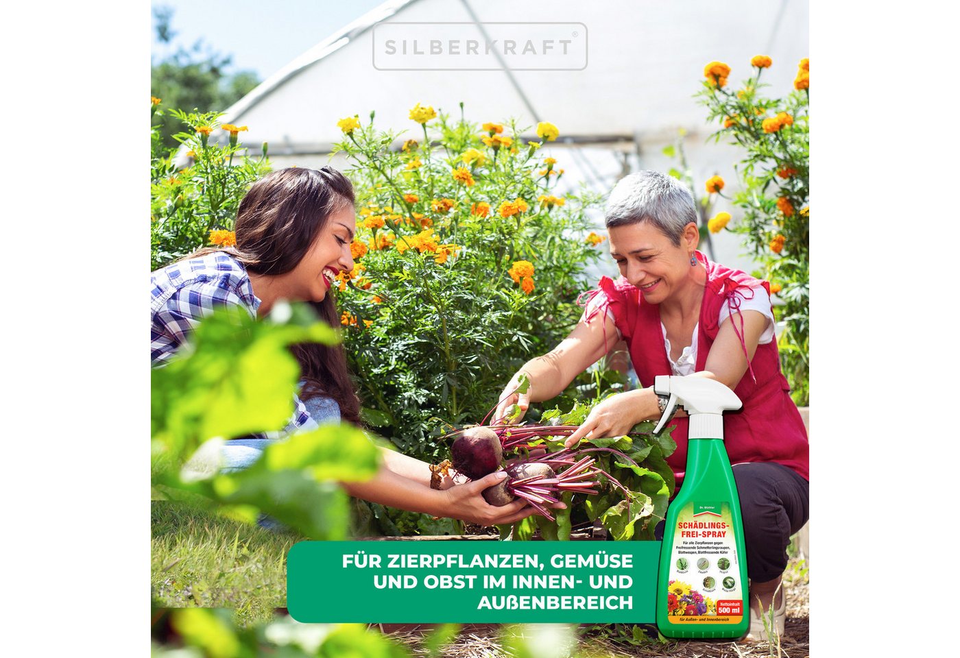 Dr. Stähler Insektenspray Schädlingsfrei-Spray - Effektives Pflanzenschutzmittel gegen Insekten, 500 ml, Effektiver Schutz Einfache Anwendung Ganzjähriger Einsatz Bienenfreundlich, 1-St., 500ml, mit Natur-Pyrethrum & Rapsöl, Vielseitiger Schutz für Zier- und Nutzpflanzen, Anwendungsfertig Bild 2