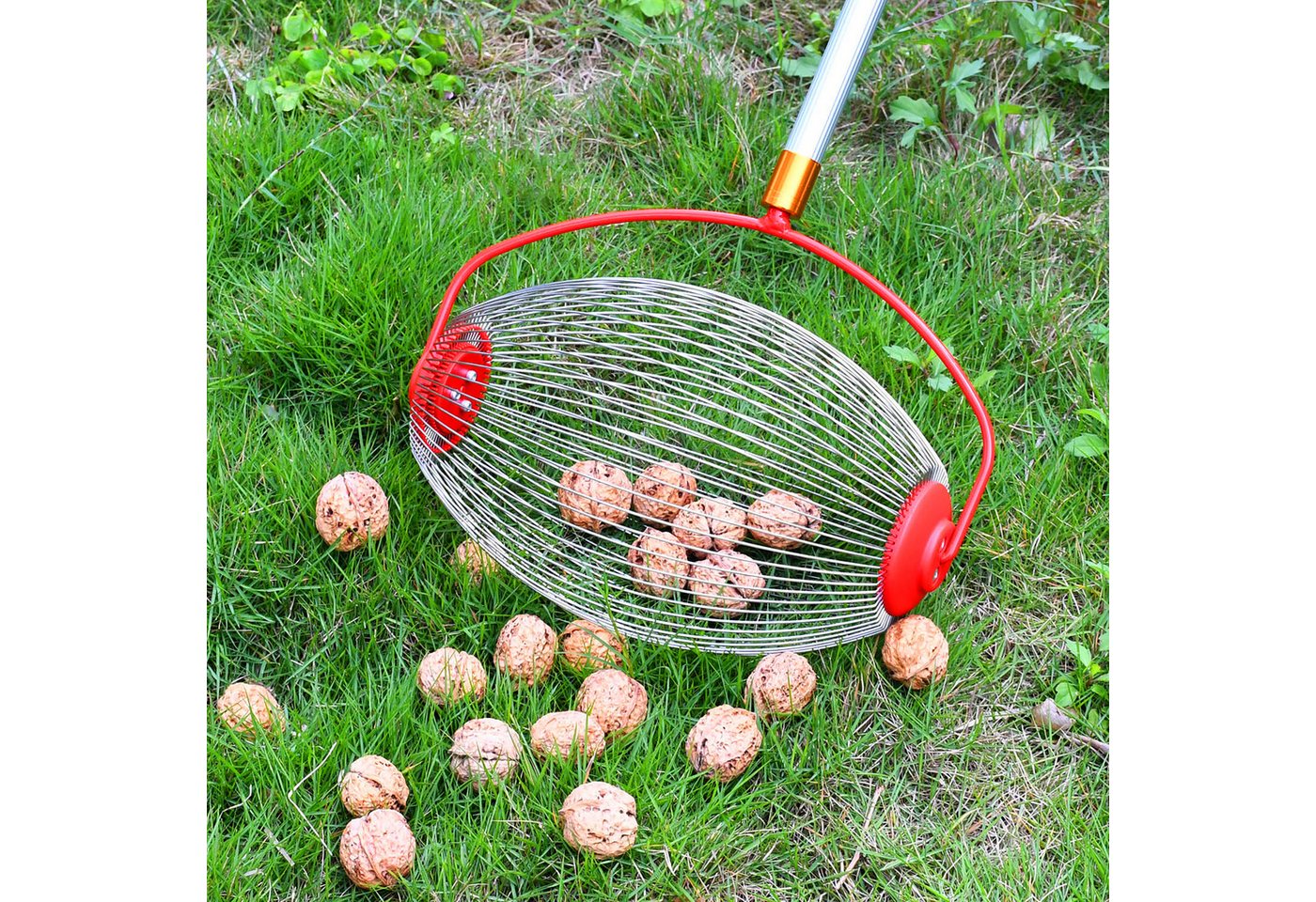 Spetebo Rollsammler Erntehelfer für Nüsse und Obst mit Alu Teleskopstiel, 33 cm Arbeitsbreite, (Anzahl, 1-tlg., Stück), flexibler Sammelkorb Bild 3
