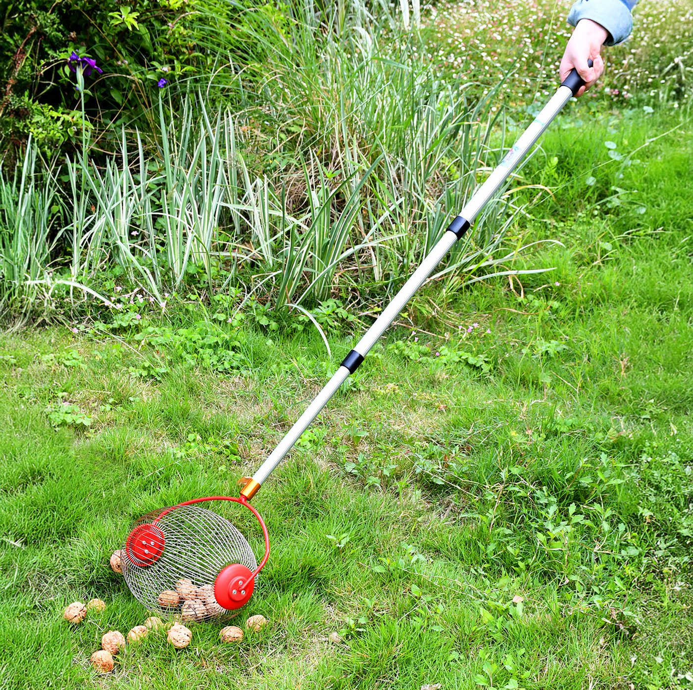 Spetebo Rollsammler Erntehelfer für Nüsse und Obst mit Alu Teleskopstiel, 33 cm Arbeitsbreite, (Anzahl, 1-tlg., Stück), flexibler Sammelkorb Bild 4
