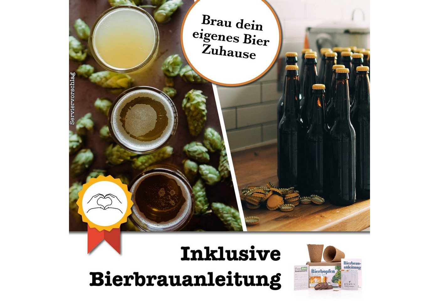 Kunstpflanze Hopfen Anzuchtset DER WEG ZU DEINEM EIGENEN BIER Geschenk für Männer, growbro, - Unser Bestseller, bekannt aus Social Media Bild 4