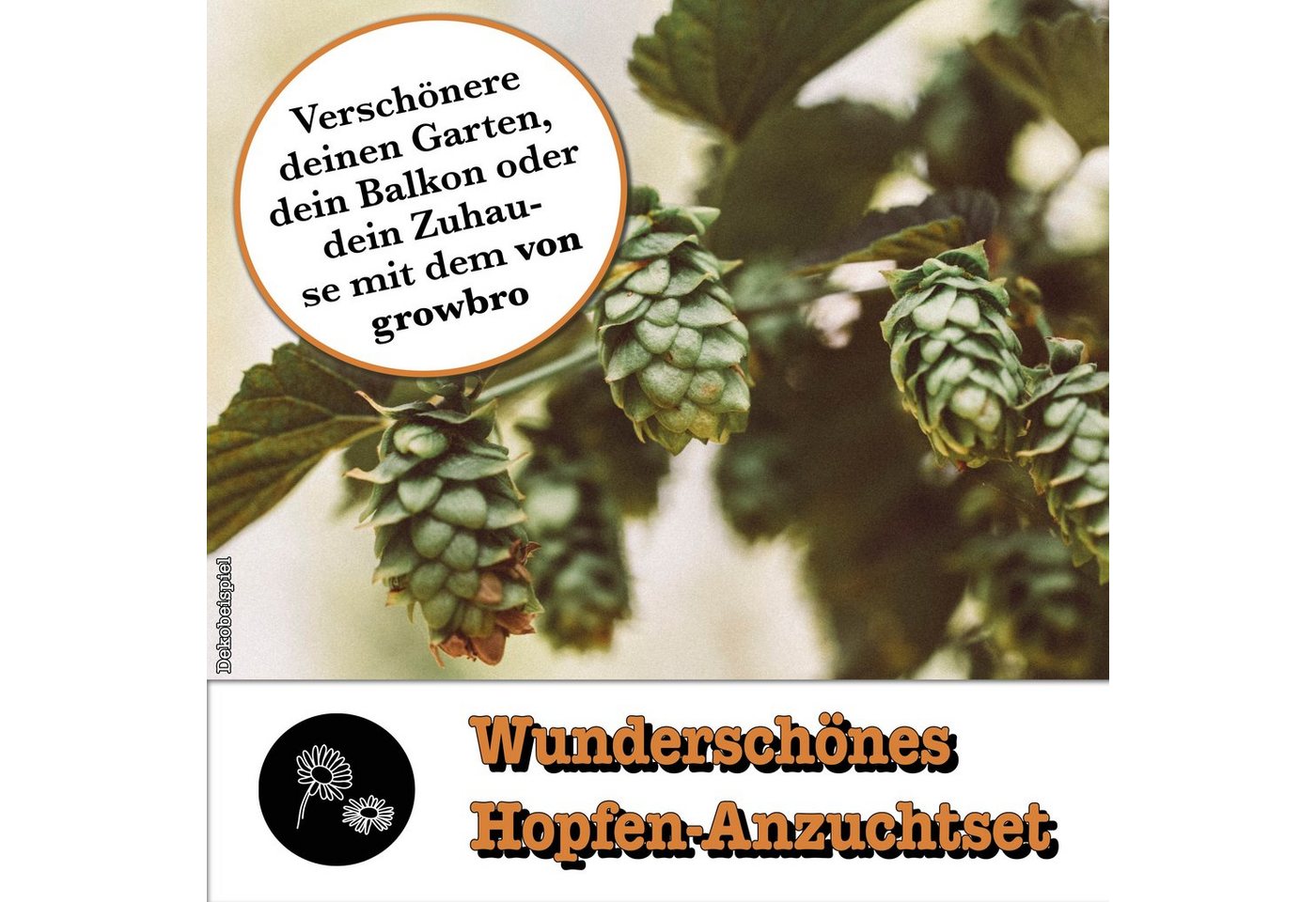 Kunstpflanze Hopfen Anzuchtset DER WEG ZU DEINEM EIGENEN BIER Geschenk für Männer, growbro, - Unser Bestseller, bekannt aus Social Media Bild 5