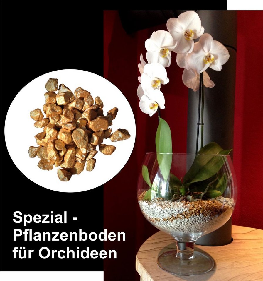 colomi Pflanzgranulat Spezial Pflanzboden für Orchideen - patentiert gold, 1 Liter Bild 2