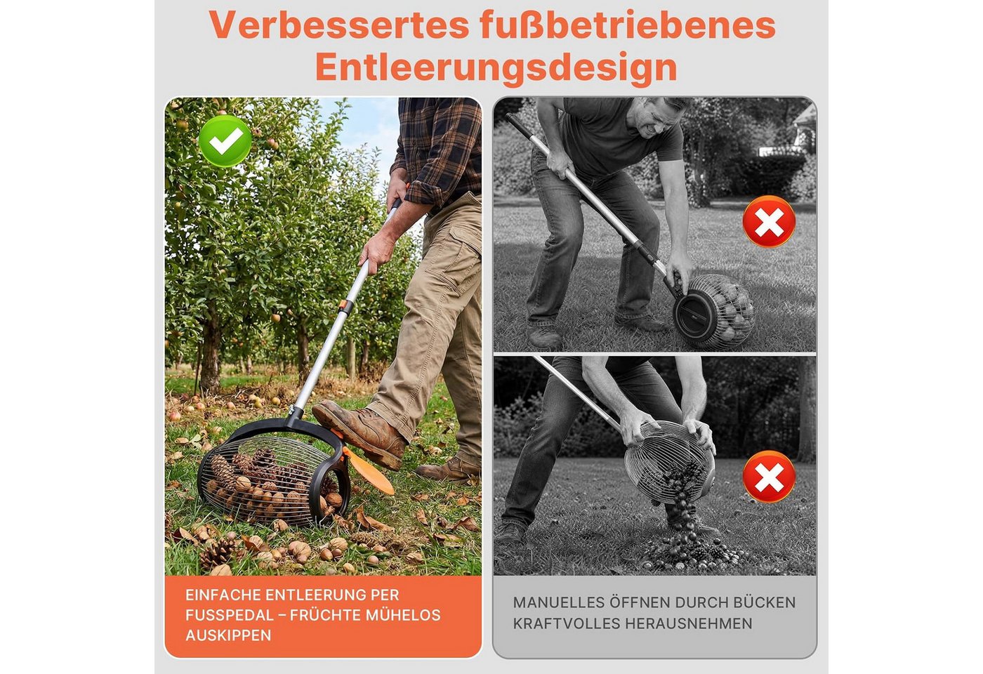 Hausprofi Rollsammler Nusssammler Ø34cm, Teleskopstiel 37-110cm,Pedalbetätigte Seitenöffnung, 34 cm Arbeitsbreite, (Set, 1-tlg & Stoffbeutel), Obstsammler für Walnüsse Äpfel Eicheln, Ohne Bücken Bild 4