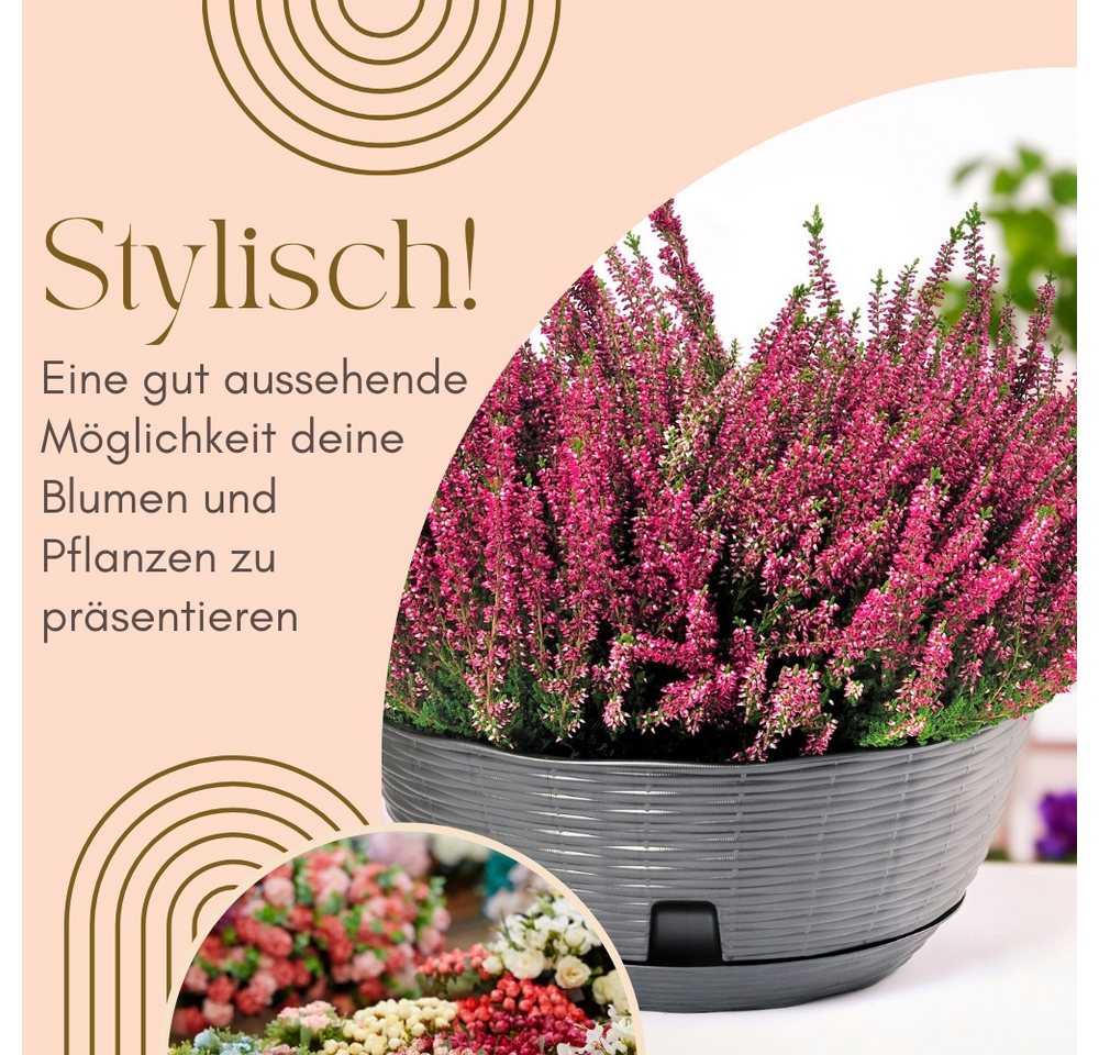 GarPet Pflanzschale 2er Set Pflanzschale Blumenschale Bonsai Grabschale Anthrazit 30cm