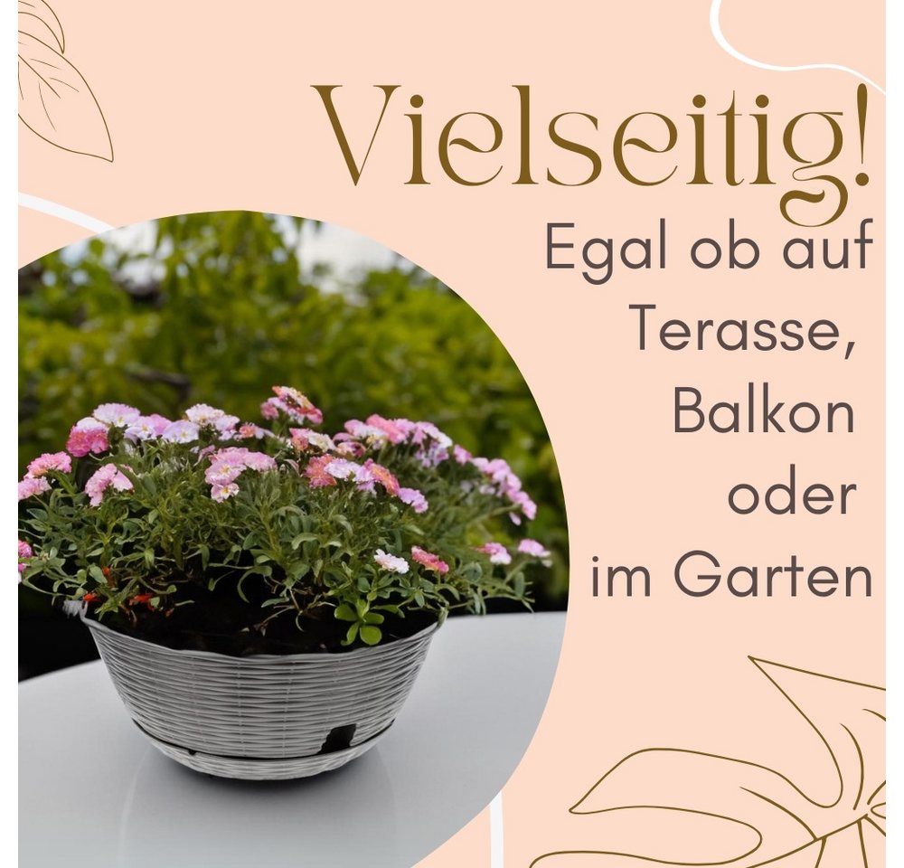 GarPet Pflanzschale 2er Set Pflanzschale Blumenschale Bonsai Grabschale Anthrazit 30cm Bild 2