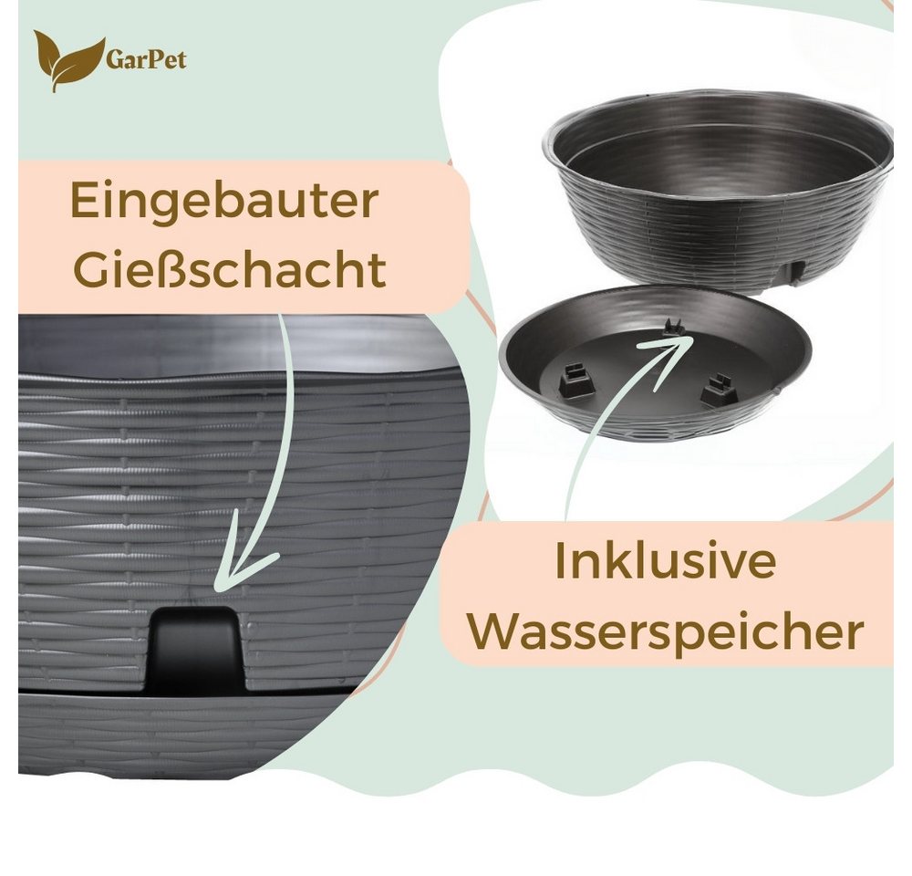 GarPet Pflanzschale 2er Set Pflanzschale Blumenschale Bonsai Grabschale Anthrazit 30cm Bild 4