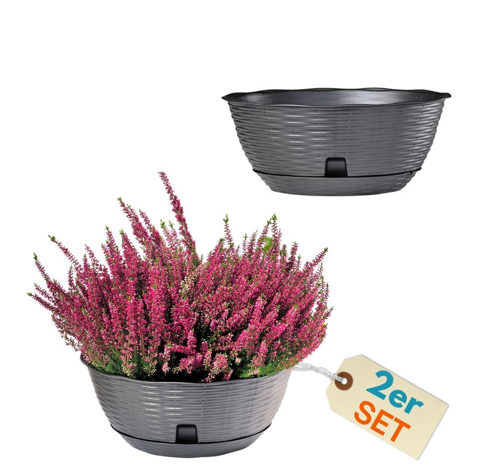 GarPet Pflanzschale 2er Set Pflanzschale Blumenschale Bonsai Grabschale Anthrazit 30cm Bild 5