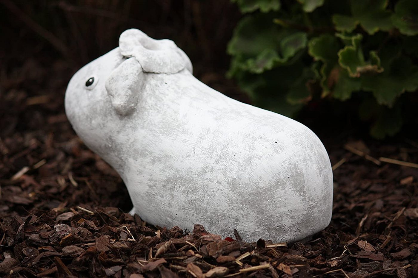 Stone and Style Gartenfigur Frostfeste Steinfigur Meerschweinchen Helmut Bild 2