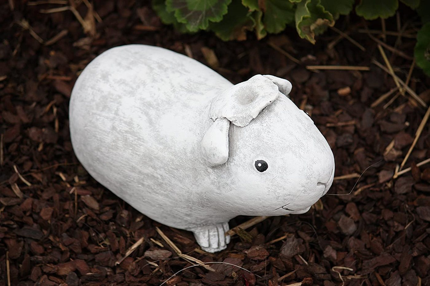 Stone and Style Gartenfigur Frostfeste Steinfigur Meerschweinchen Helmut Bild 3