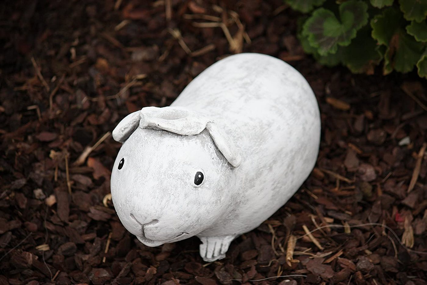Stone and Style Gartenfigur Frostfeste Steinfigur Meerschweinchen Helmut Bild 4