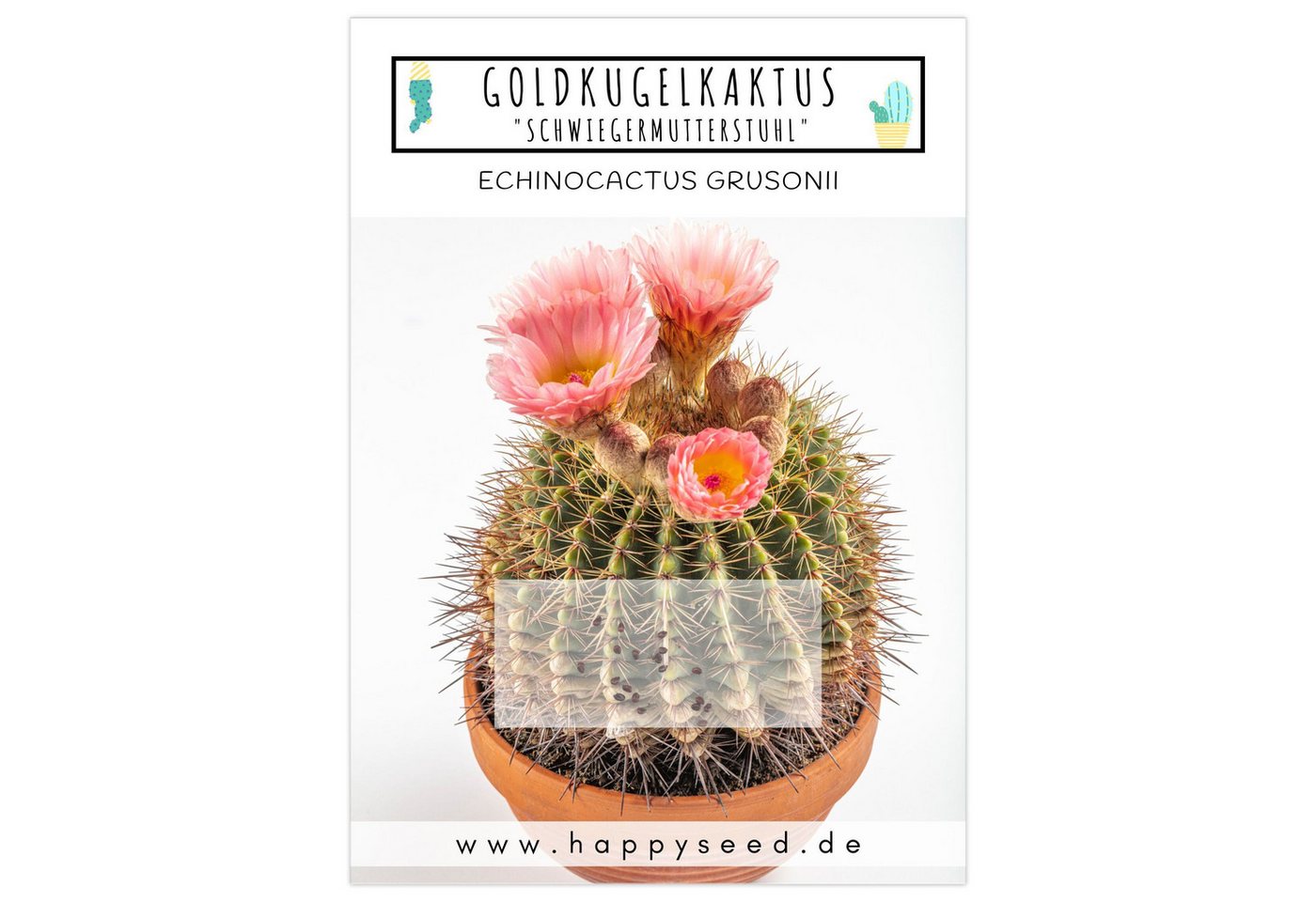 HappySeed Blumensamen Goldkugelkaktus Samen - Echinocactus Grusonii (Kakteen), Kakteen Bild 2