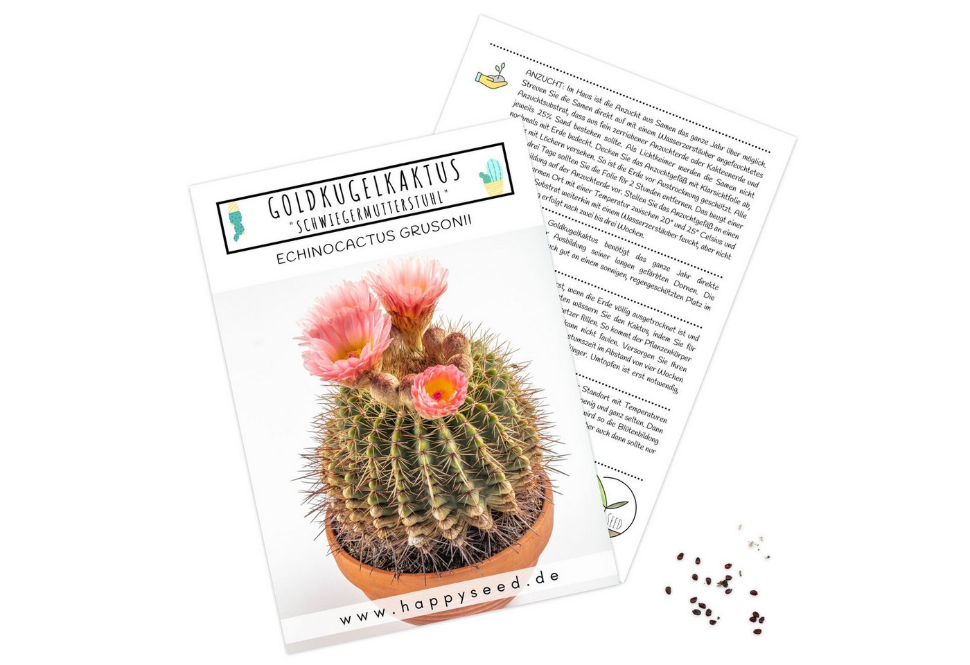 HappySeed Blumensamen Goldkugelkaktus Samen - Echinocactus Grusonii (Kakteen), Kakteen Bild 4