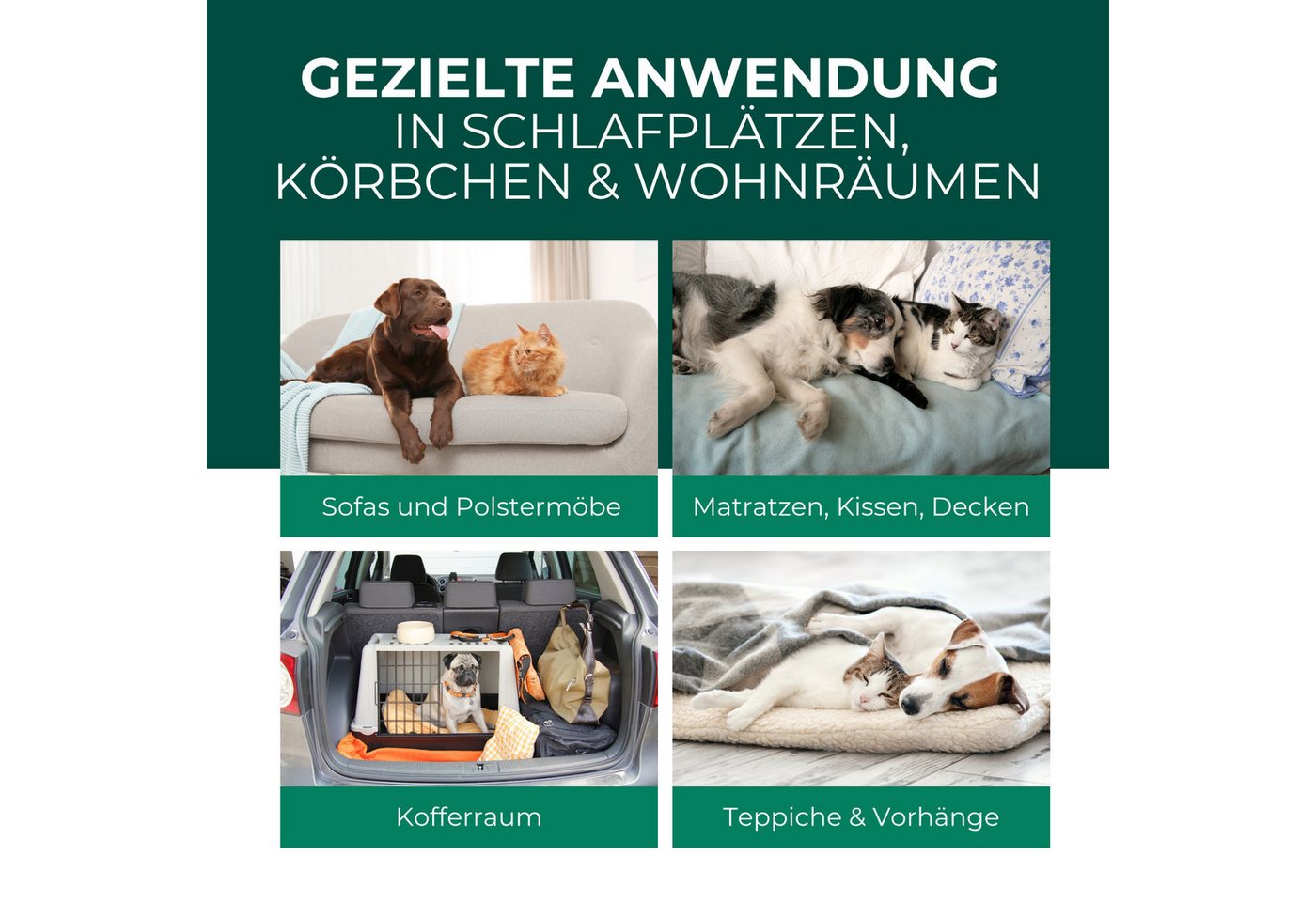Silberkraft Insektenspray Flohspray Textil & Umgebung 1000 ml inkl. E-Book, Als Umgebungsspray: gezielte Anwendung für eine flohfreie Umgebung, 1-St., Inklusive E-Book mit Tipps zur Vorbeugung & Bekämpfung von Flohbefall, Ideal für Körbchen, Decken, Teppiche & Polstermöbel Bild 4