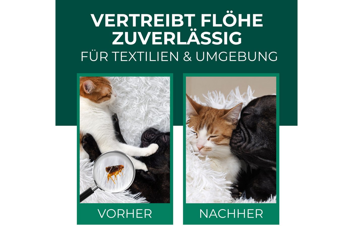 Silberkraft Insektenspray Flohspray Textil & Umgebung 500 ml inkl. E-Book, Als Umgebungsspray: gezielte Anwendung für eine flohfreie Umgebung, 2-St., Inklusive E-Book mit Tipps zur Vorbeugung & Bekämpfung von Flohbefall, Abwehr von Flöhen in der Umgebung: Textilien, Schlafplätze & Wohnräume Bild 4