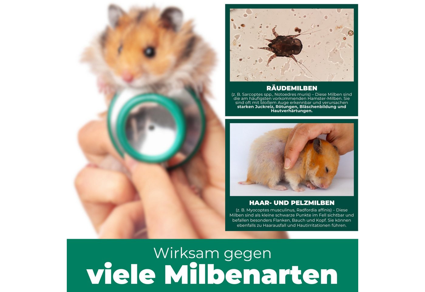 Silberkraft Insektenspray Milbenspray Hamster, Milbenmittel für Hamster, Meerschweinchen & Nager, 500 ml, Milbenmittel für Nager – Langzeitschutz für Hamster & Gehege, 1-St., Silberkraft Milbenspray – Sofortschutz für Nager, Made in Germany, hochwirksame Milbenabwehr für Fell & Käfig, Sofort- & Langzeitschutz Bild 3