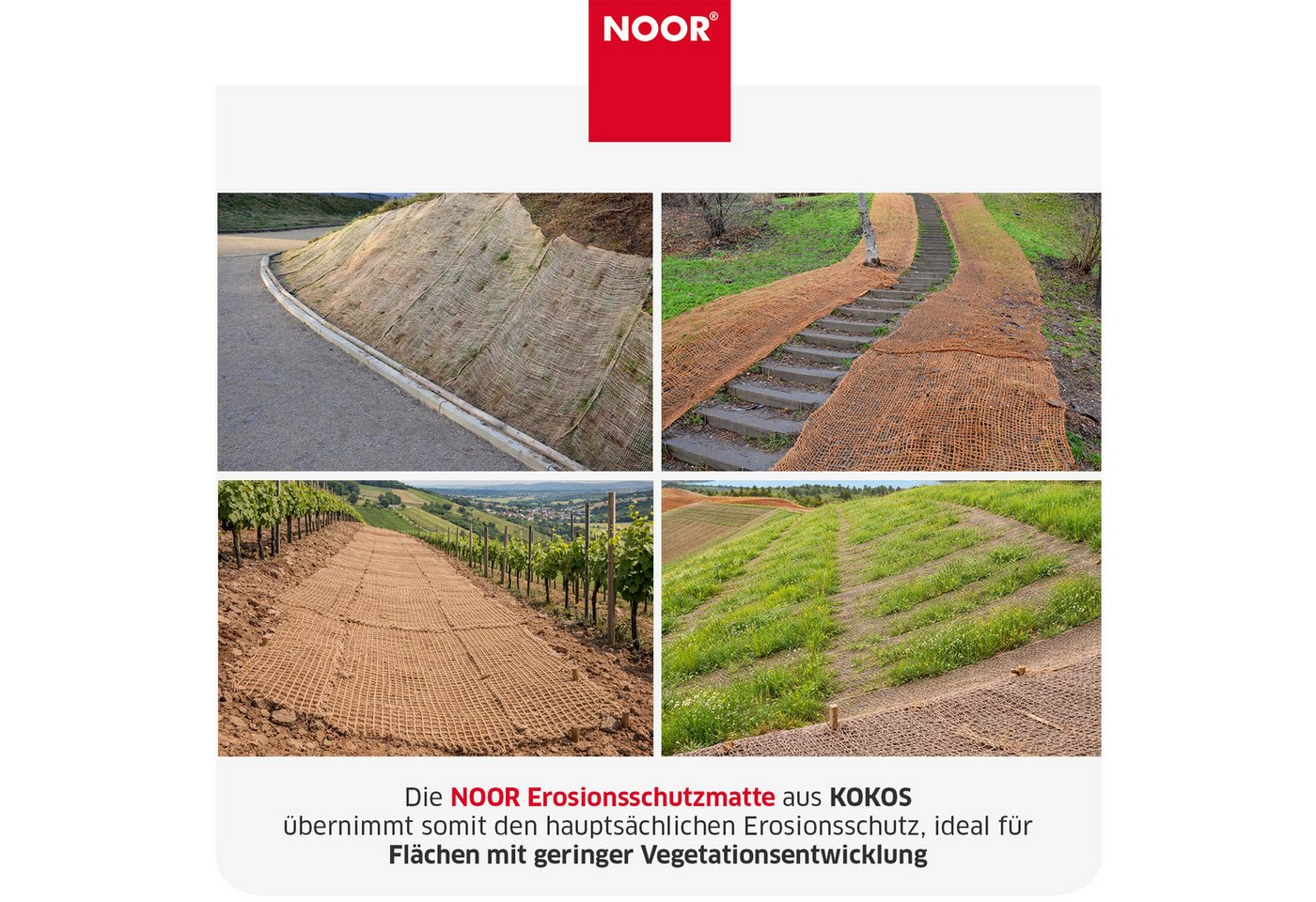 NOOR Schutznetz, BxL: 1x10 m, Erosionsschutzmatte JUTE und KOKOS zum Schutz der Gartenlandschaft Bild 3