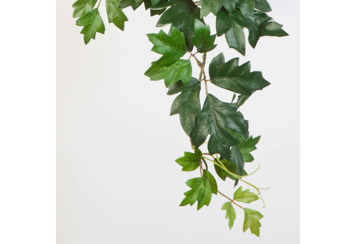 Künstliche Zimmerpflanze Künstliche Königsweinranke HEROPHILA, 350 Blätter, grün, 70cm Weinrebe (Zimmerwein), artplants, Höhe 70.0 cm