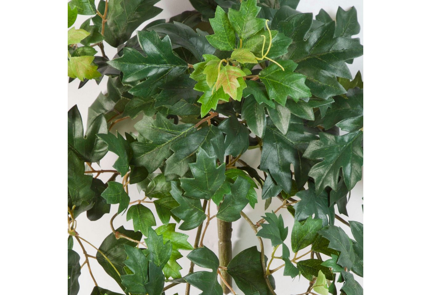 Künstliche Zimmerpflanze Künstliche Königsweinranke HEROPHILA, 350 Blätter, grün, 70cm Weinrebe (Zimmerwein), artplants, Höhe 70.0 cm Bild 2