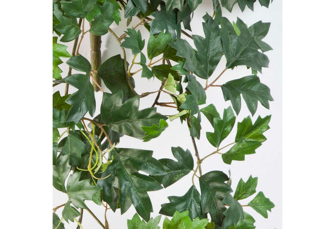 Künstliche Zimmerpflanze Künstliche Königsweinranke HEROPHILA, 350 Blätter, grün, 70cm Weinrebe (Zimmerwein), artplants, Höhe 70.0 cm Bild 3