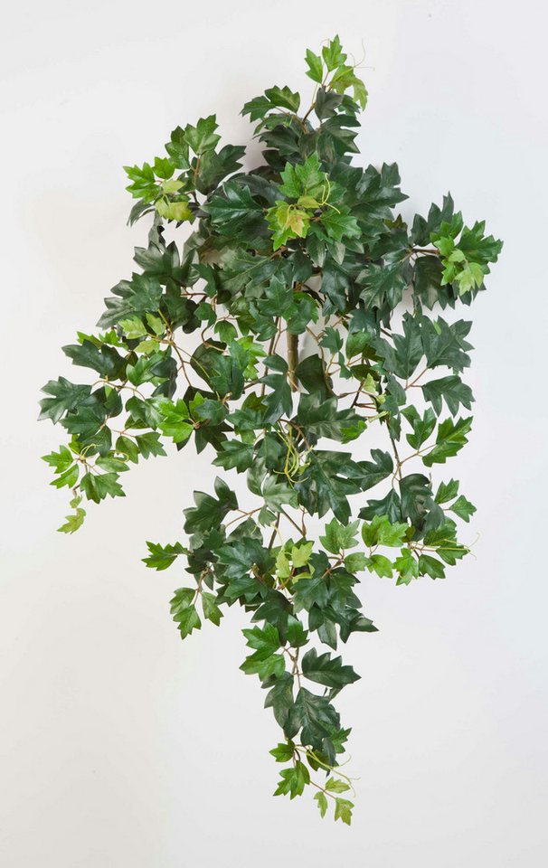 Künstliche Zimmerpflanze Künstliche Königsweinranke HEROPHILA, 350 Blätter, grün, 70cm Weinrebe (Zimmerwein), artplants, Höhe 70.0 cm Bild 4