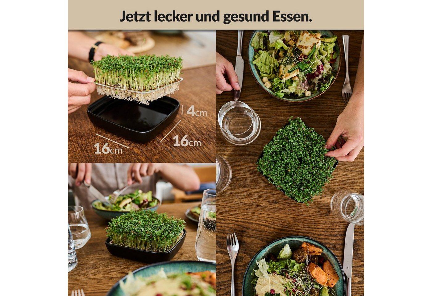 Otaro Pflanzschale Kressesieb Set mit Kressesamen, Edelstahl - Schwarz