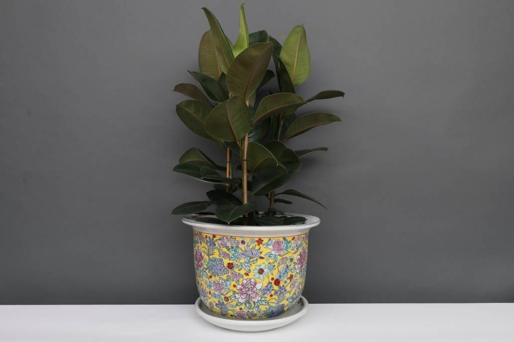 Yajutang Blumentopf Bild 2