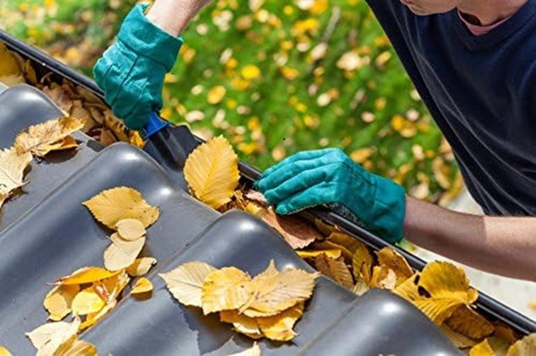 EraGreen Dachrinne Laubschutzgitter 1m länge für Dachrinnen 100mm-125mm Dachrinnenschutz, 1m länge, für Dachrinnen 100mm-125mm Bild 3