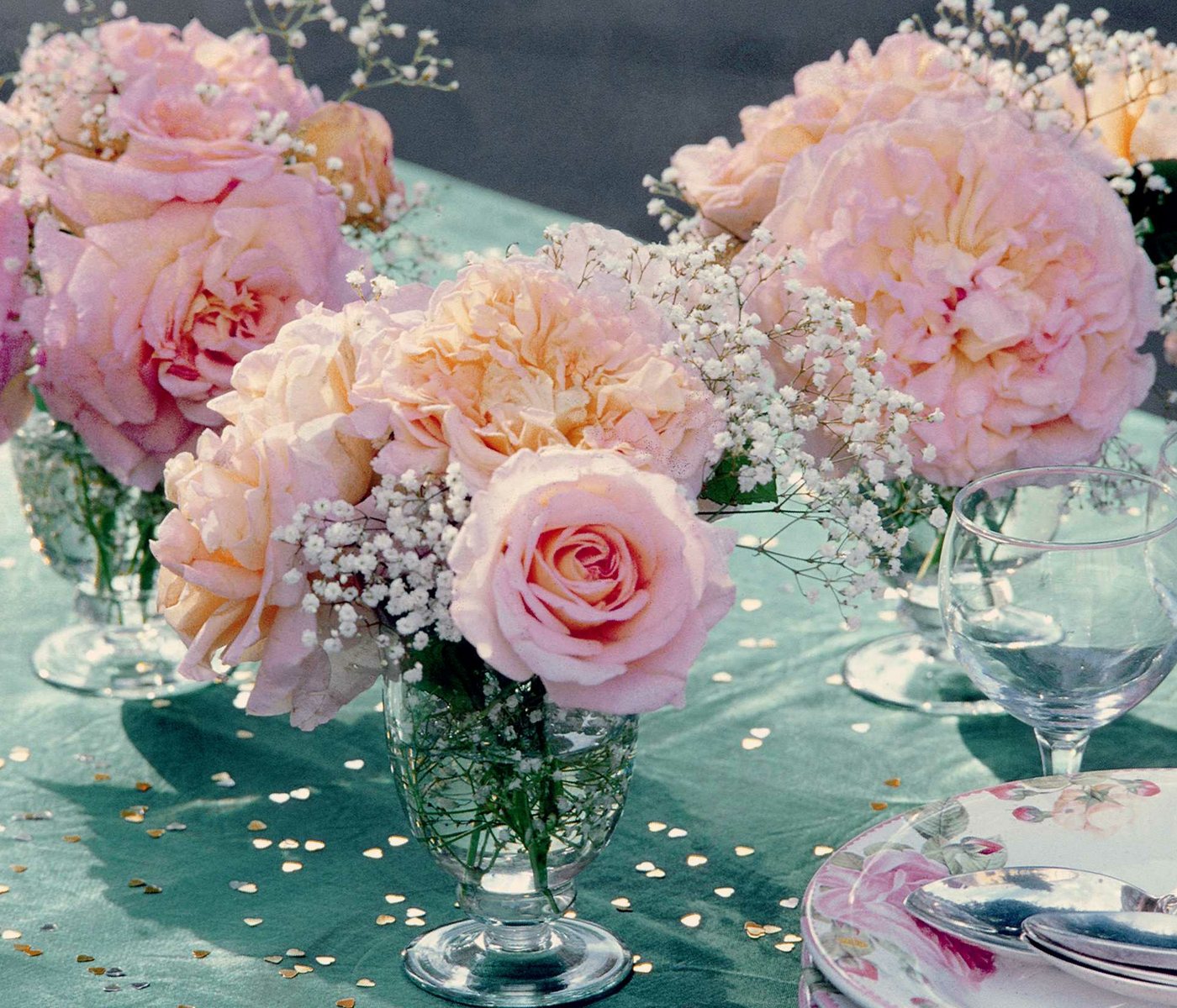 Dehner Rose Edelrose Augusta Luise®, apricot-farbene Blüten, gefüllte und duftende Blüten, Züchter Tantau Bild 3