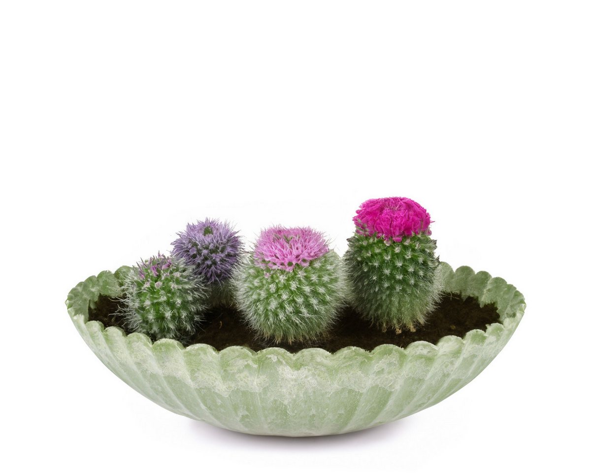 matches21 HOME & HOBBY Blumentopf Pflanzschale für draussen Dekoschale rund grün marmoriert 22 cm (1 St), Blumen-Schale als wetterfeste Friedhof-Schale Grab-Schmuck Grabschale Bild 2