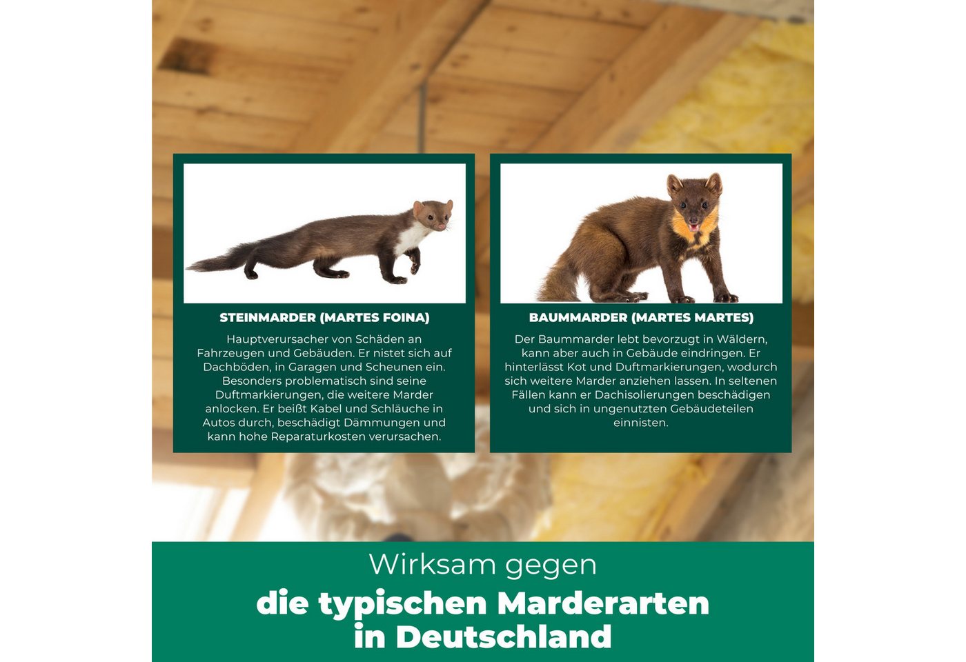 Silberkraft Marderspray Silberkraft Marder Stopp Spray, Sofort- & Langzeitschutz gegen Marder, 400 ml, 1-St., Verhindert Marderbisse an Kabeln & Schläuchen, für Abwehr Bild 2