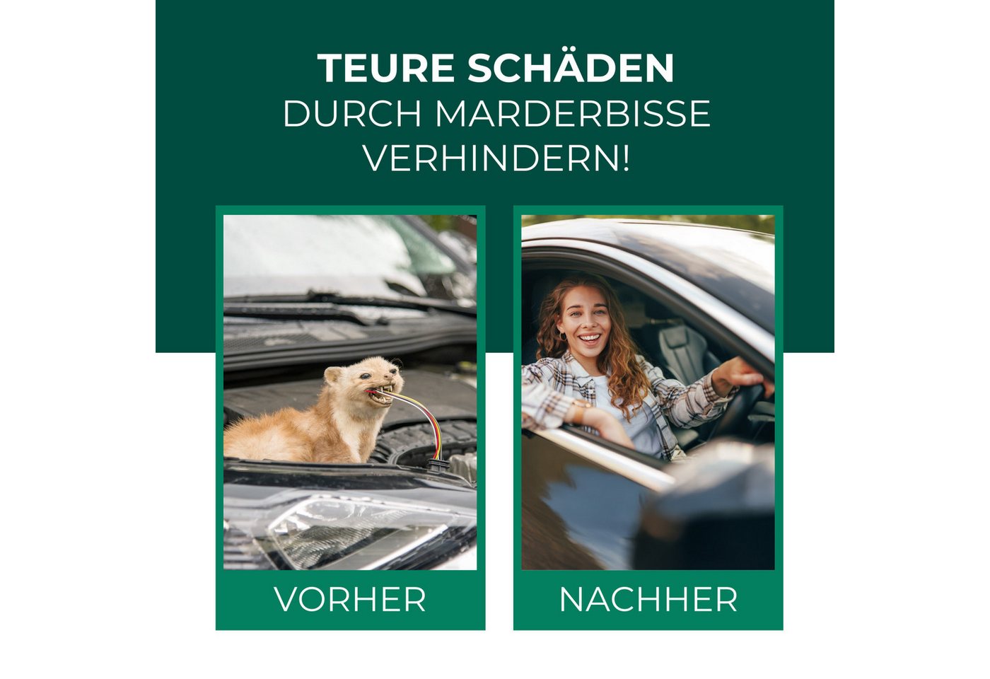 Silberkraft Marderspray Silberkraft Marder Stopp Spray, Sofort- & Langzeitschutz gegen Marder, 400 ml, 1-St., Verhindert Marderbisse an Kabeln & Schläuchen, für Abwehr Bild 3